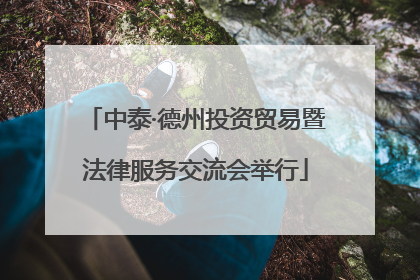 中泰·德州投资贸易暨法律服务交流会举行