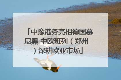 中豫港务亮相德国慕尼黑 中欧班列（郑州）深耕欧亚市场