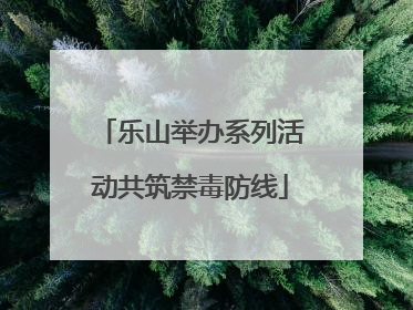 乐山举办系列活动共筑禁毒防线