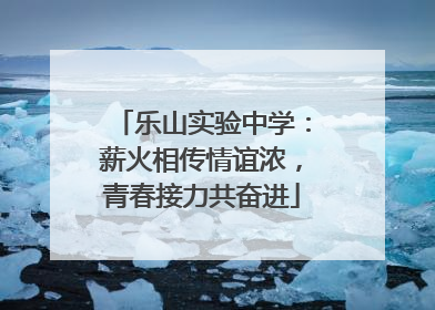 乐山实验中学：薪火相传情谊浓，青春接力共奋进