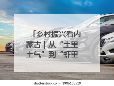 乡村振兴看内蒙古｜从“土里土气”到“虾里虾气” 一田双收模式火出圈