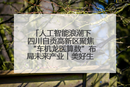 人工智能浪潮下 四川自贡高新区聚焦“车机龙医算数”布局未来产业丨美好生活有“盐”味