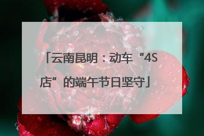 云南昆明：动车“4S店”的端午节日坚守