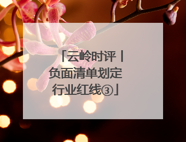 云岭时评丨负面清单划定行业红线③