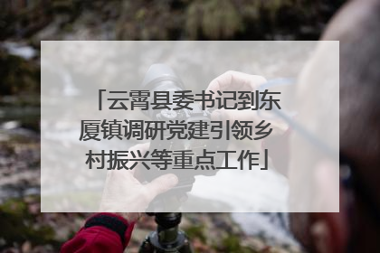 云霄县委书记到东厦镇调研党建引领乡村振兴等重点工作