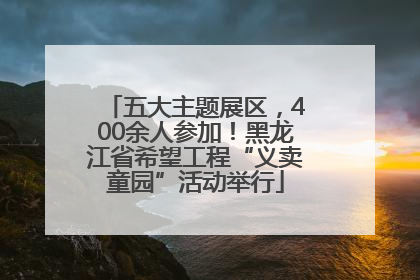 五大主题展区，400余人参加！黑龙江省希望工程“义卖童园”活动举行