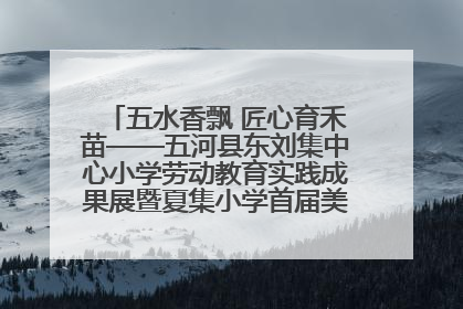 五水香飘 匠心育禾苗——五河县东刘集中心小学劳动教育实践成果展暨夏集小学首届美食节盛大举行