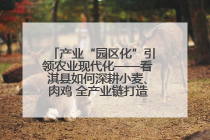 产业“园区化”引领农业现代化——看淇县如何深耕小麦、肉鸡 全产业链打造现代农业产业园