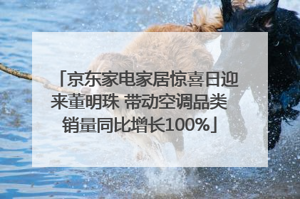 京东家电家居惊喜日迎来董明珠 带动空调品类销量同比增长100%