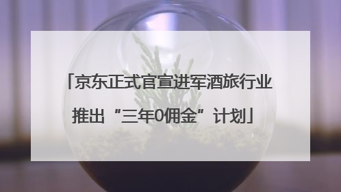 京东正式官宣进军酒旅行业 推出“三年0佣金”计划