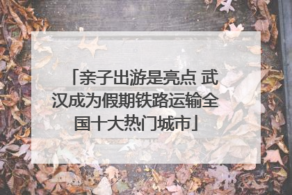 亲子出游是亮点 武汉成为假期铁路运输全国十大热门城市
