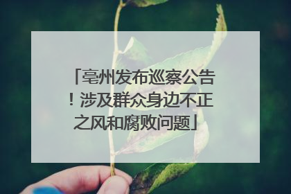 亳州发布巡察公告！涉及群众身边不正之风和腐败问题