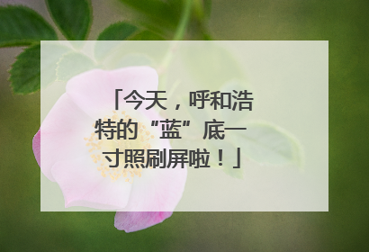 今天，呼和浩特的“蓝”底一寸照刷屏啦！
