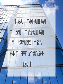 从“种珊瑚”到“育珊瑚” 海底“造林”有了新进展