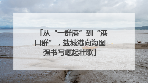 从“一群港”到“港口群”，盐城港向海图强书写崛起壮歌