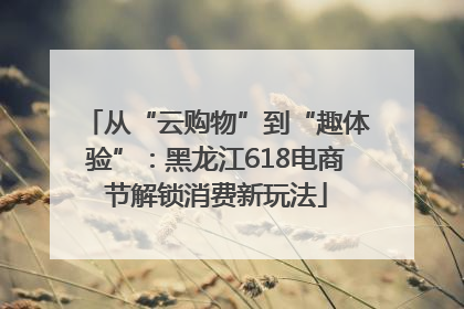 从“云购物”到“趣体验”：黑龙江618电商节解锁消费新玩法