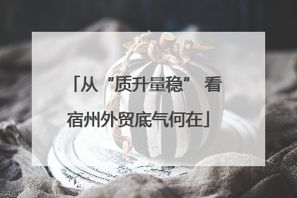 从“质升量稳” 看宿州外贸底气何在