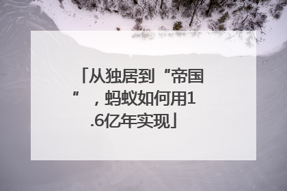 从独居到“帝国”，蚂蚁如何用1.6亿年实现