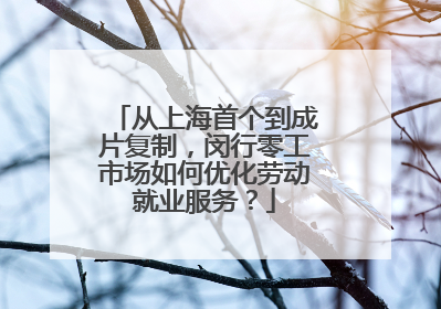 从上海首个到成片复制，闵行零工市场如何优化劳动就业服务？
