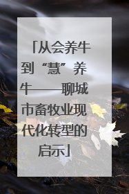 从会养牛到“慧”养牛——聊城市畜牧业现代化转型的启示