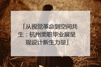 从视觉革命到空间共生：杭州美职毕业展呈现设计新生力量