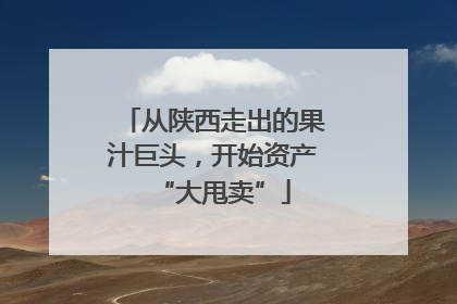 从陕西走出的果汁巨头，开始资产“大甩卖”