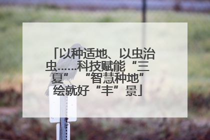以种适地、以虫治虫……科技赋能“三夏” “智慧种地”绘就好“丰”景