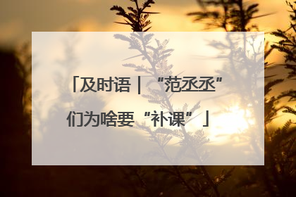 及时语｜“范丞丞”们为啥要“补课”