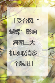 受台风“蝴蝶”影响 海南三大机场取消多个航班