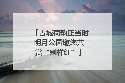 古城荷韵正当时 明月公园邀您共赏“别样红”