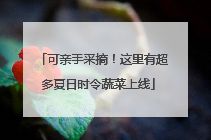 可亲手采摘！这里有超多夏日时令蔬菜上线