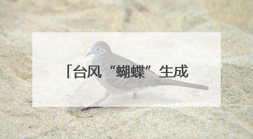 台风“蝴蝶”生成！福建暴雨警报，预计登陆时间……