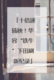 十倍速插秧！华容“铁牛”下田刷新纪录