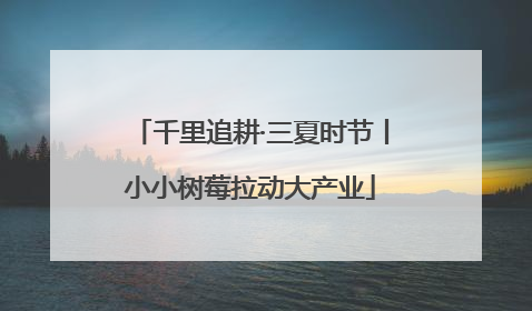 千里追耕·三夏时节丨小小树莓拉动大产业
