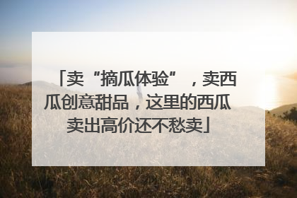 卖“摘瓜体验”，卖西瓜创意甜品，这里的西瓜卖出高价还不愁卖