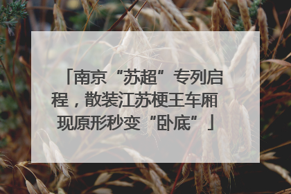 南京“苏超”专列启程，散装江苏梗王车厢现原形秒变“卧底”
