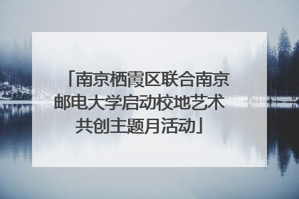 南京栖霞区联合南京邮电大学启动校地艺术共创主题月活动