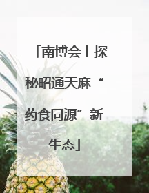 南博会上探秘昭通天麻“药食同源”新生态