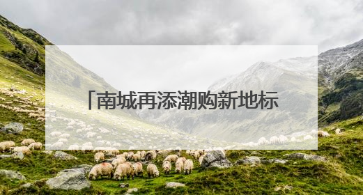 南城再添潮购新地标，家电数码产品先体验后消费 全国最大京东MALL开业