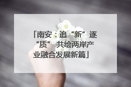 南安：追“新”逐“质” 共绘两岸产业融合发展新篇