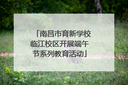 南昌市育新学校临江校区开展端午节系列教育活动