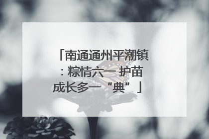 南通通州平潮镇：粽情六一 护苗成长多一“典”