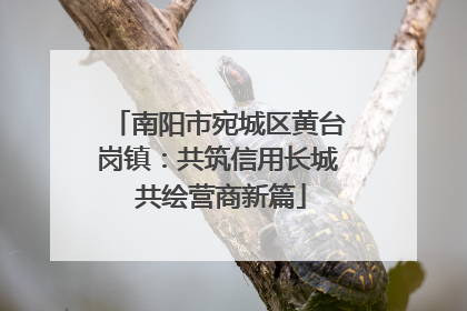 南阳市宛城区黄台岗镇：共筑信用长城 共绘营商新篇