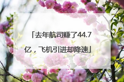 去年航司赚了44.7亿，飞机引进却降速
