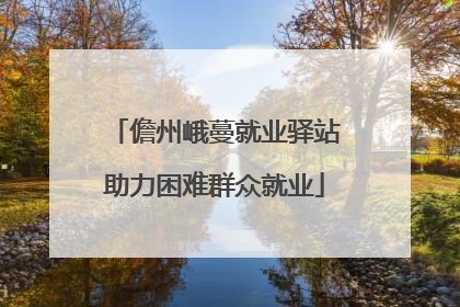 儋州峨蔓就业驿站助力困难群众就业