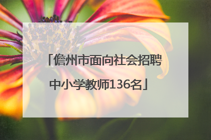 儋州市面向社会招聘中小学教师136名