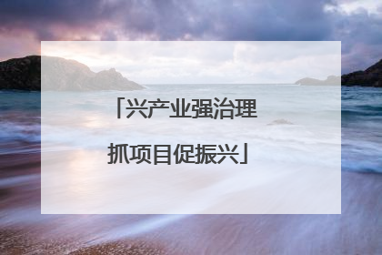 兴产业强治理 抓项目促振兴