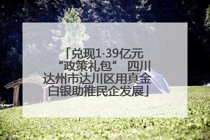 兑现1·39亿元“政策礼包” 四川达州市达川区用真金白银助推民企发展