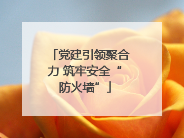 党建引领聚合力 筑牢安全“防火墙”