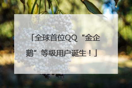 全球首位QQ“金企鹅”等级用户诞生！